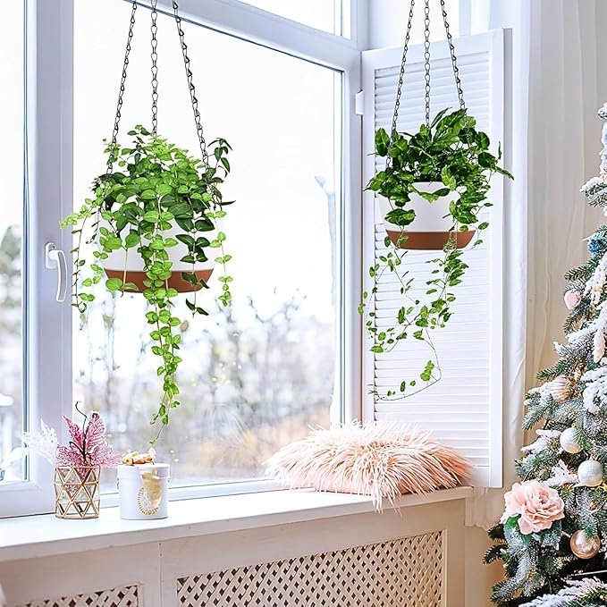 Hanging Planters for Indoor Plants - Image 5