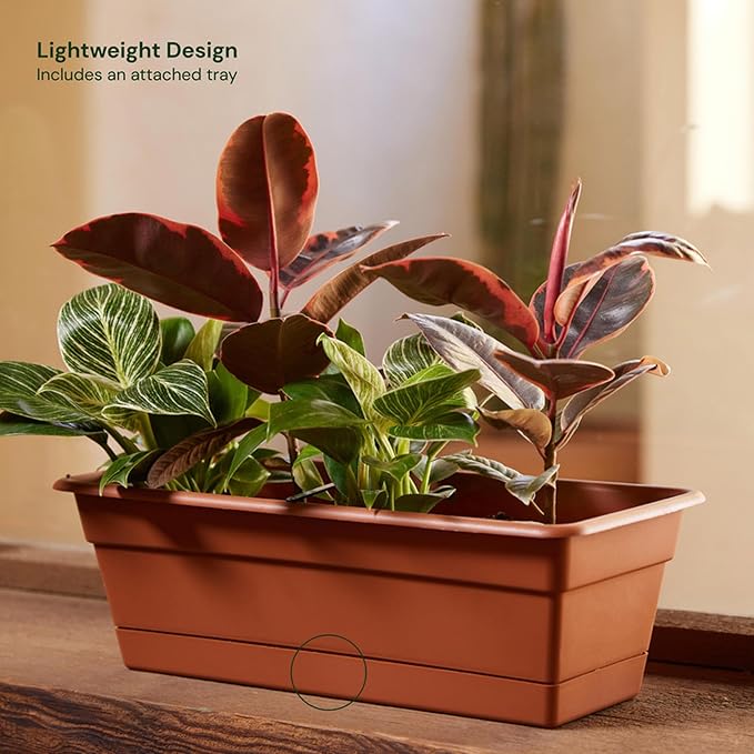 Bloem Dura Cotta 18" Terra Cotta Resin Rectangle Window Box Planter - Image 2