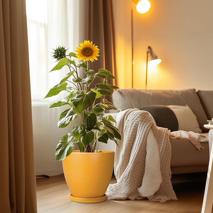 10 Inch Plant Pot - Image 4