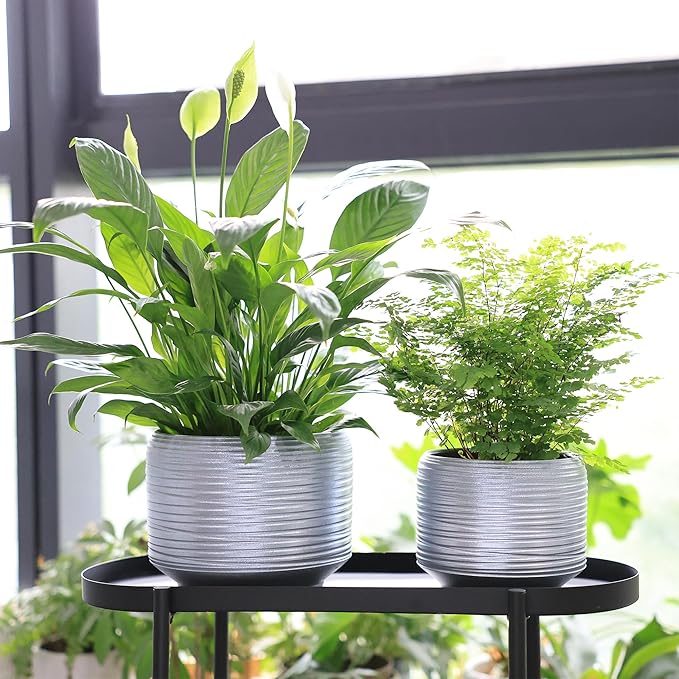 8 Inch + 6 Inch Ceramic Plant Pots Indoor - Image 5