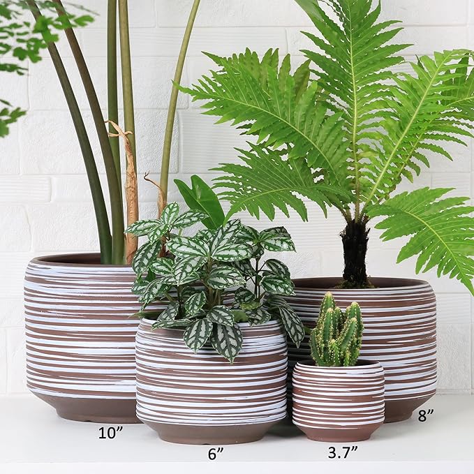 10 Inch Ceramic Plant Pot with Drainage – Large Flower Pot - Image 4