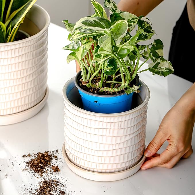 5.8 Inch Plant Pot: Ceramic Planter - Image 6