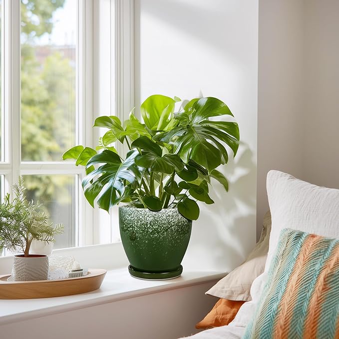 6 Inch Plant Pot - Image 6