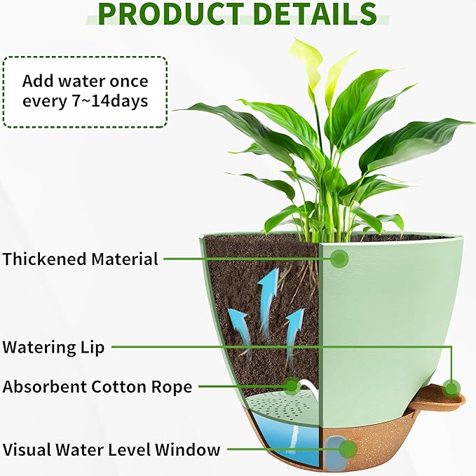 12/10/9/8 inch Self Watering Pots - Image 3