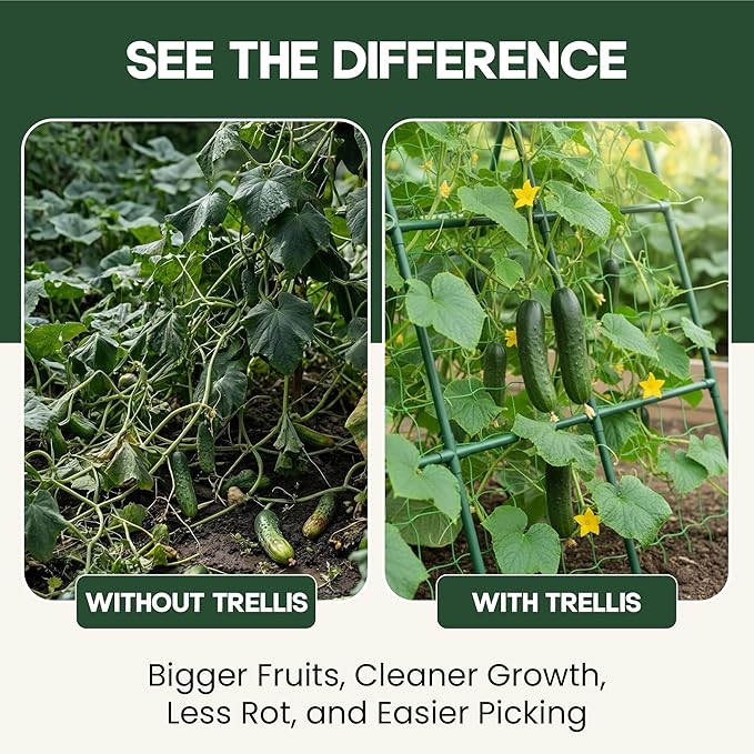 50x50 Cucumber Trellis for Raised Bed - Image 5