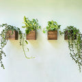 LaLaGreen Wood Planter Boxes Small Square Wooden Wall Mounted Flower Pot by L%C3%A1L%C3%A1Green