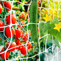 6x15FT Plant Trellis Netting, Heavy-Duty Garden Grow Net Polyester Square Mesh by Paradistar