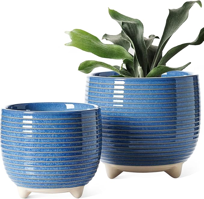 LE TAUCI Ceramic Plant Pots, 5.1 + 6.4 Inch Footed Pots by LETAUCI
