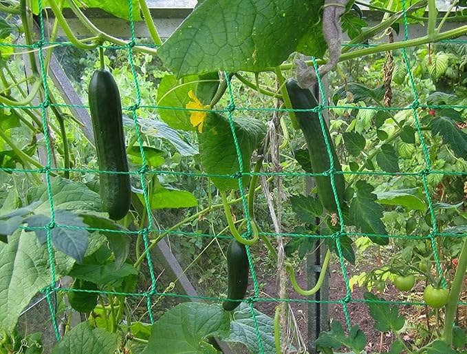 Trellis Netting for Climbing Plants - Image 6