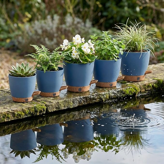 montresor 5-Pack 5/5.5/6/6.5/7 Inch Reservoir & Drainage Plastic Self Watering - Image 7