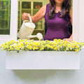 LaLaGreen Wall Planter Carbon Steel White Metal Hanging Flower Pot by L%C3%A1L%C3%A1Green