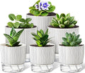 6 Pack Self Watering Pots for Indoor Plants, Flower Planters by Unknown