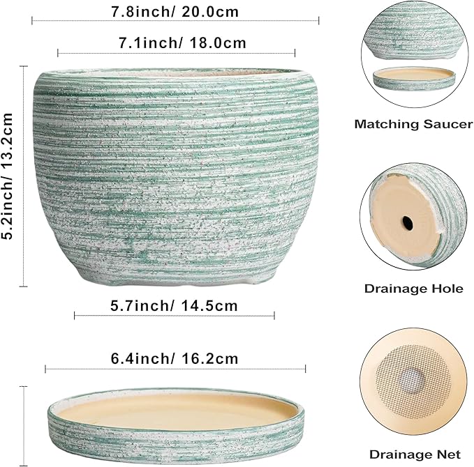 SQOWL Ceramic Planters for Indoor Plants - Image 3
