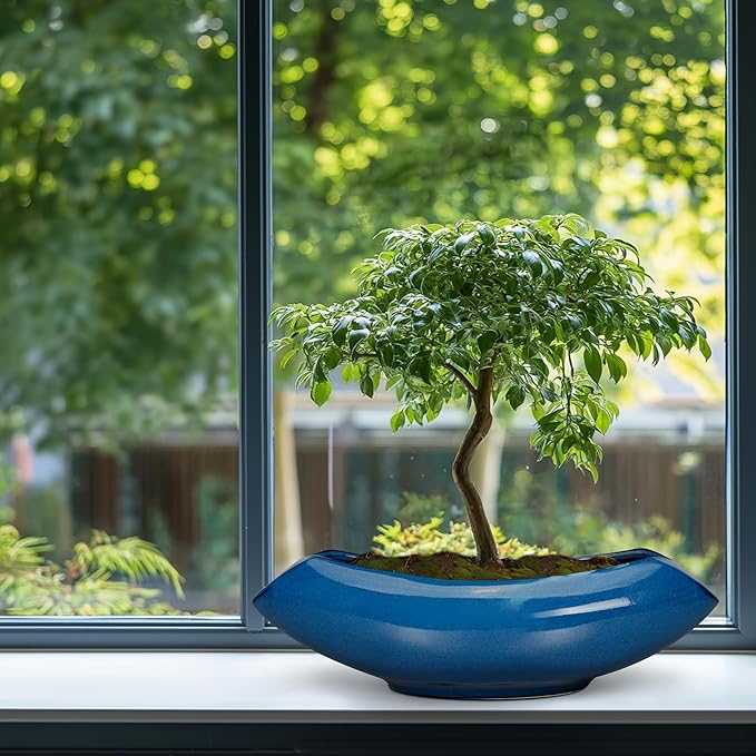 Bonsai Tree Pot 18 Inch - Image 8