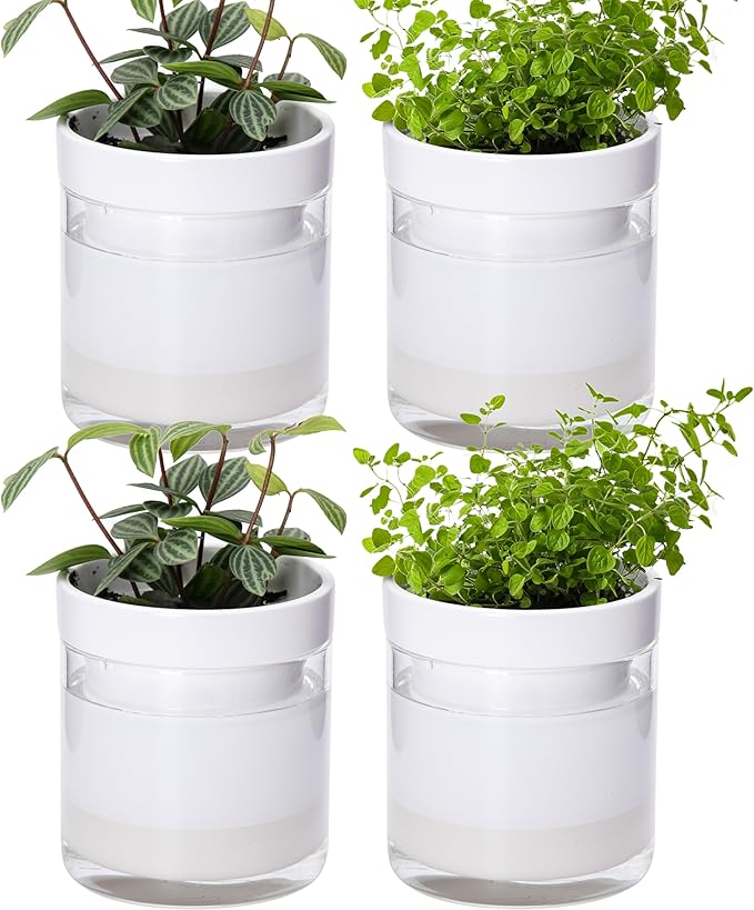 Phoenix Vine 4 Inch Self Watering Planter by Phoenix+Vine