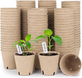 homenote Peat Pots by HOMENOTE