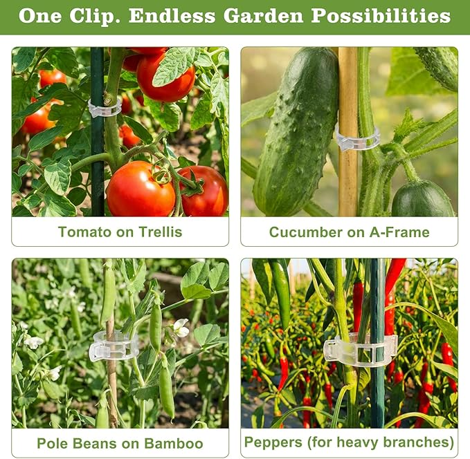 FEED GARDEN 120Pcs Plant Clips for Climbing Plants-Tomato, Grape & Vegetable - Image 6
