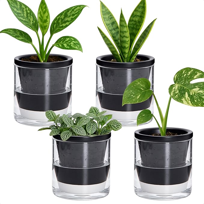 D'vine Dev 4 Inch Design Self Watering Planter by DvineDevPlanterPotsandStand