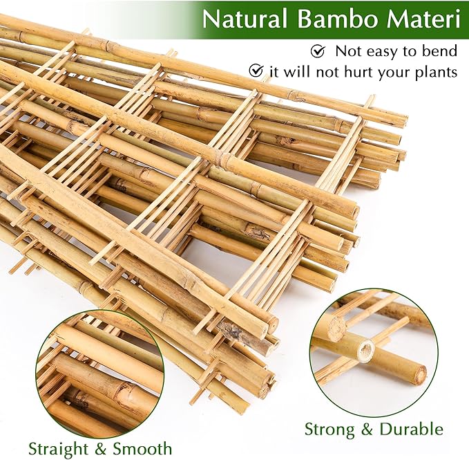 Bamboo Trellis - Image 3