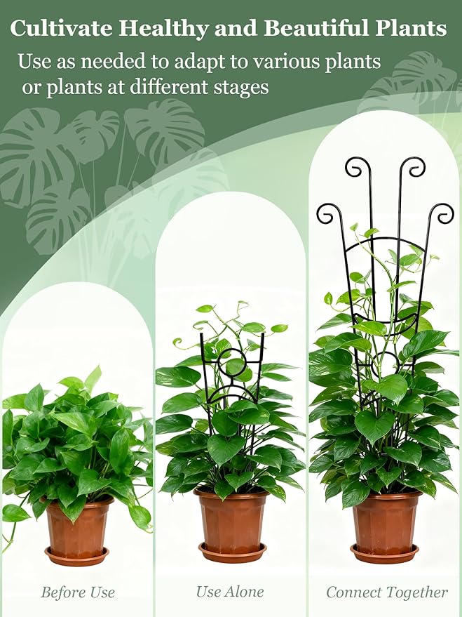 33 Inch Tall Expandable Metal Trellis - Image 5