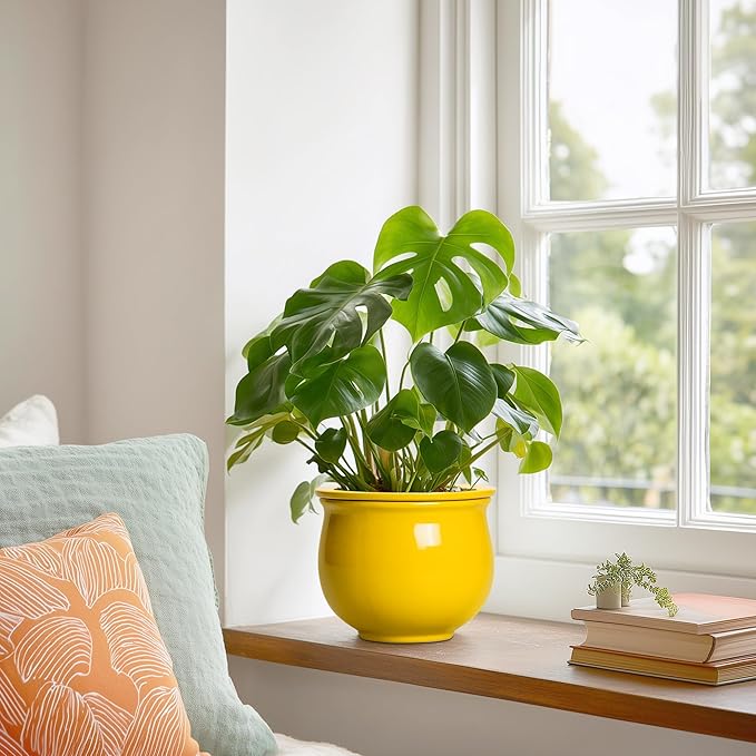 Ceramic Self Watering Planters, 6 Inch African Violet Pots - Image 4