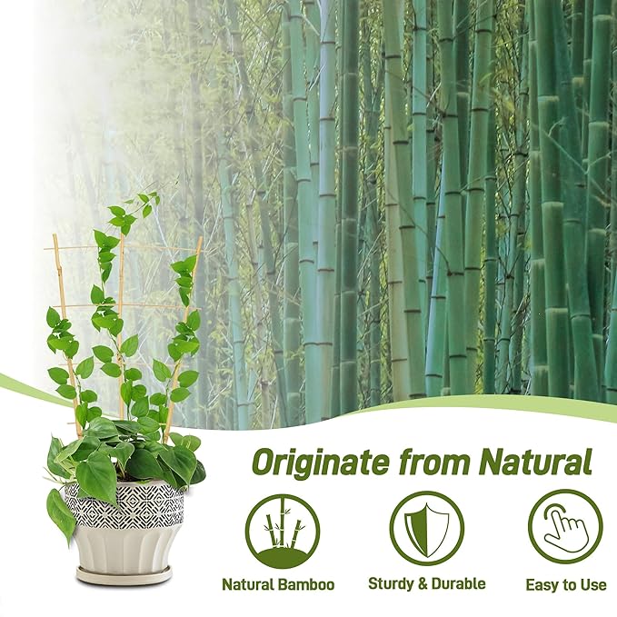 Avalution 10 Pack Bamboo Trellis - Image 3
