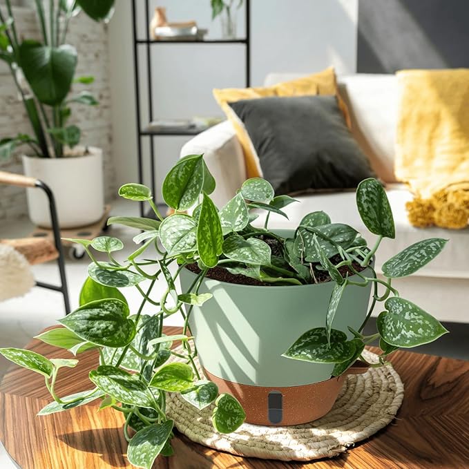 12/10/8 Inch Self Watering Pots - Image 9
