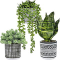 Winlyn 3 Pcs Small Potted Plants Artificial Succulents Hanging Plants and Faux by Winlyn