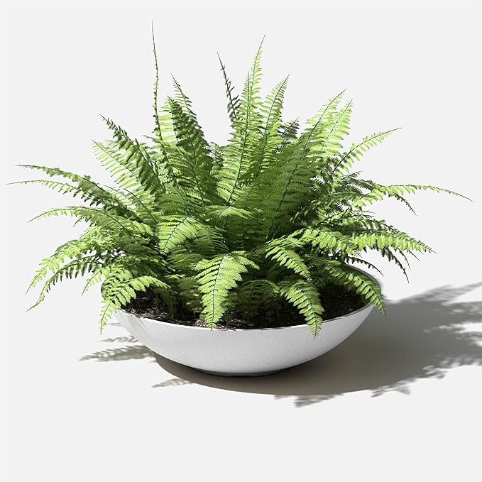 Veradek Mason Series Lane Bowl Planter| - Image 7