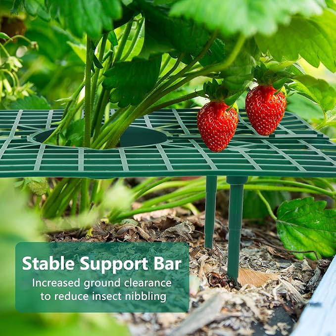 10 Pack Strawberry Plant Support, Strawberry Planting Stand, Keeping Strawberry - Image 5