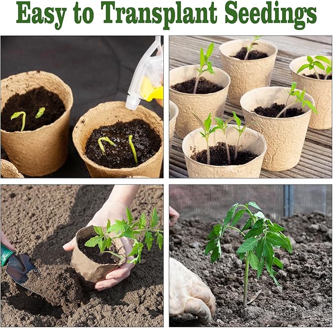 Biodegradable Peat Pots for Seedling - Image 6
