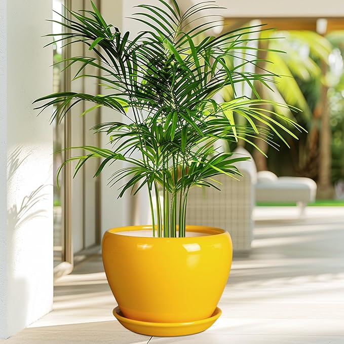 8 Inch Plant Pot - Image 4