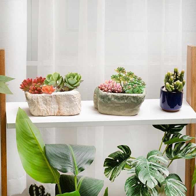 T4U 5.5 Inch Ceramic Succulent Pot Planter - Image 5
