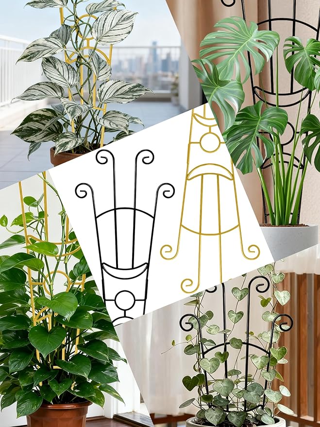 33 Inch Tall Expandable Metal Trellis - Image 6