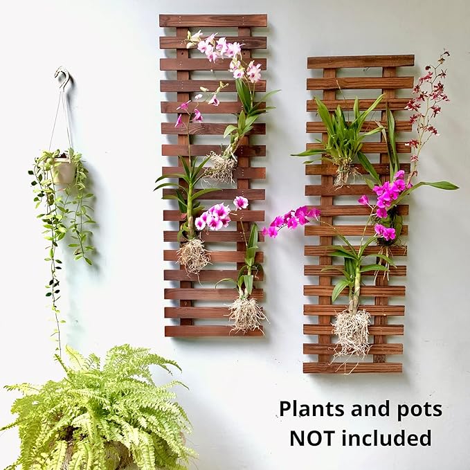 ShopLaLa Wall Planter – Hanging Planter - Image 5