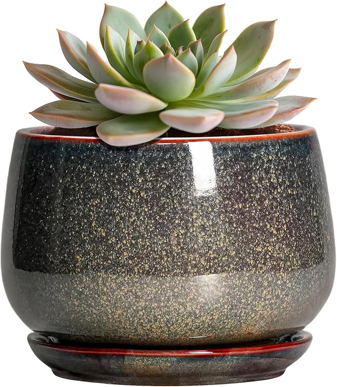 G EPGardening 6 Inch Plant Pot by GEPGardening