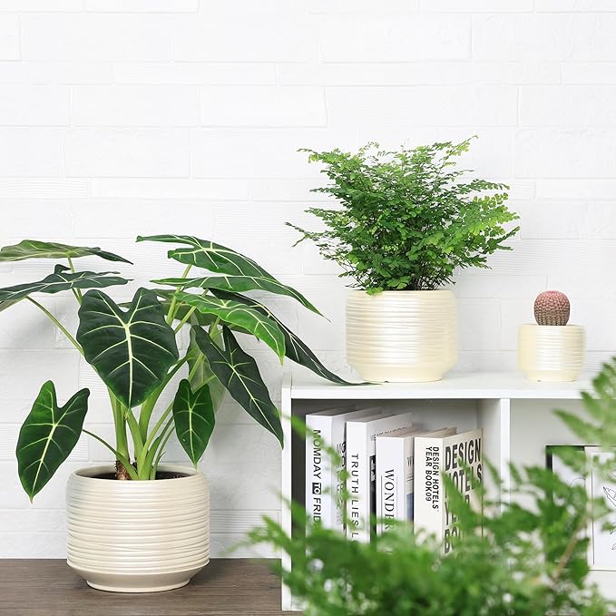 8 Inch + 6 Inch Ceramic Plant Pots Indoor - Image 6