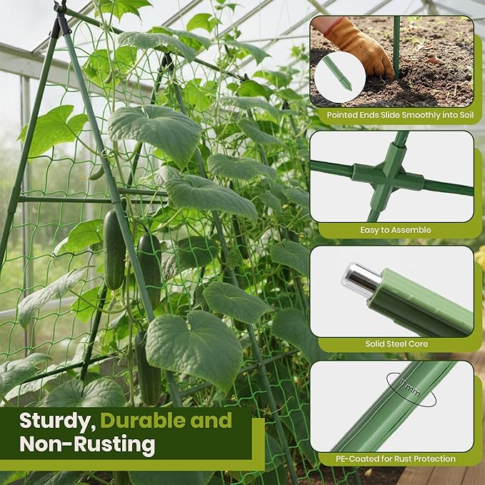 50x50 Cucumber Trellis for Raised Bed - Image 4