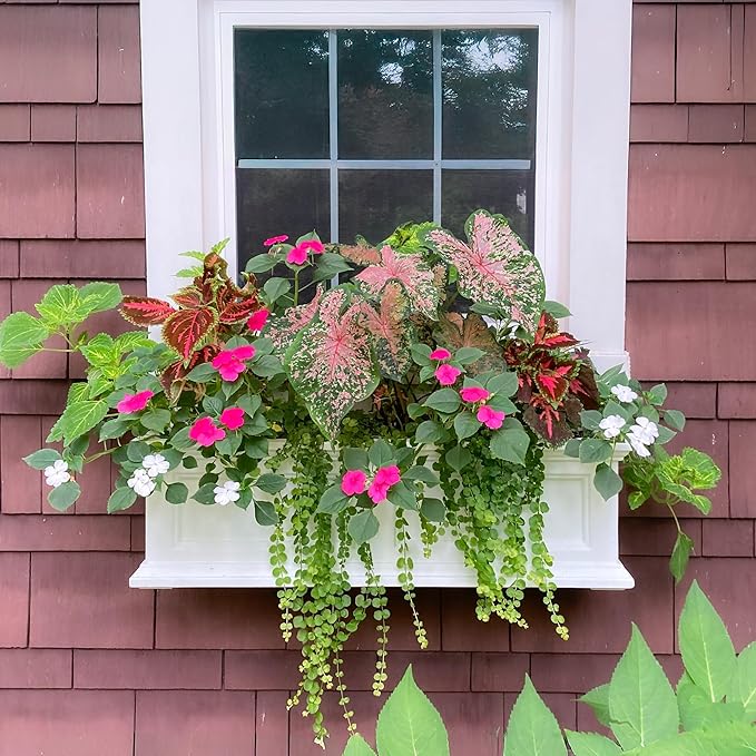 Mayne Fairfield 3-Foot Window Box – Self-Watering, Weather-Resistant Planter - Image 8