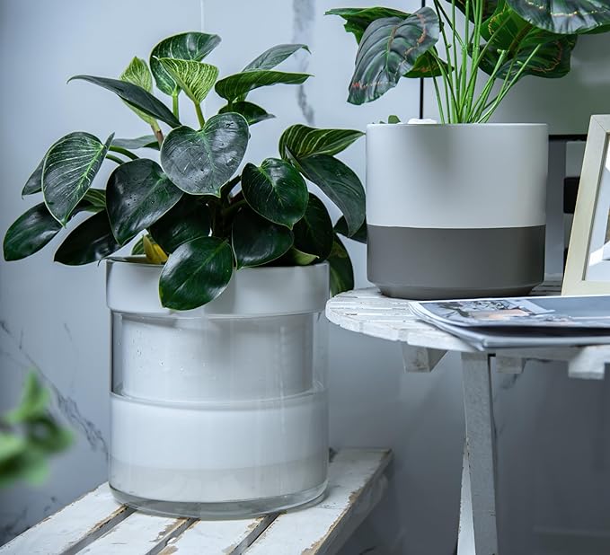 Phoenix Vine 10 Inch Self Watering Planter - Image 4