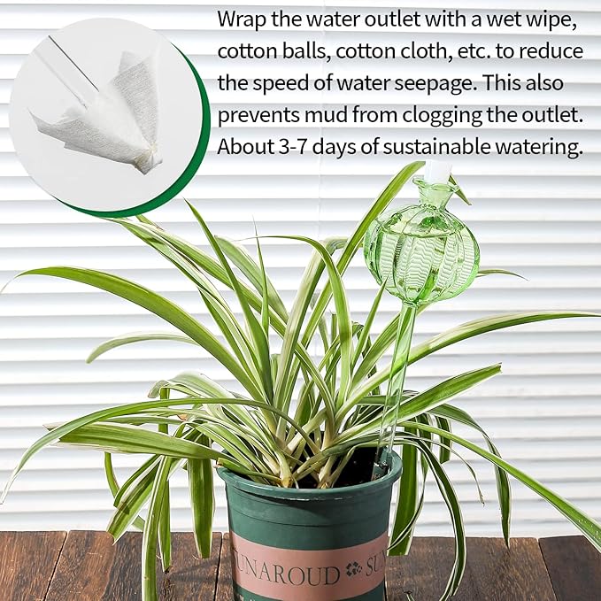 Self Watering Planter Insert. Plant Watering Devices. 3-Pack Cactus Plant - Image 5