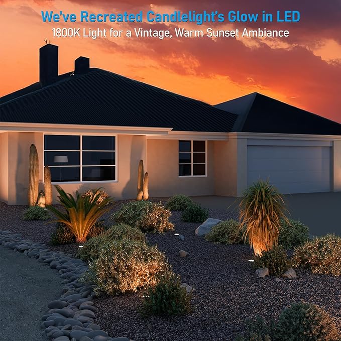 LEONLITE Dia. 4 Inch 5CCT Well Lights Landscape LED In Ground, 5 Color - Image 2