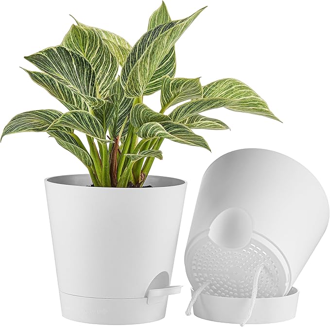 FaithLand 2-Pack 8 Inch Planter Pots by FaithLand