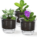 Self Watering Pots, 3 Pack 6.5/5/4 Inch Clear Plant Pot Self Watering Planter by IWNTWY