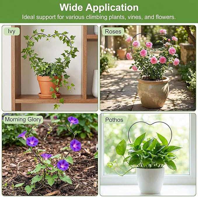 2 Pcs Heart Shaped Plant Trellis Indoor - Image 6
