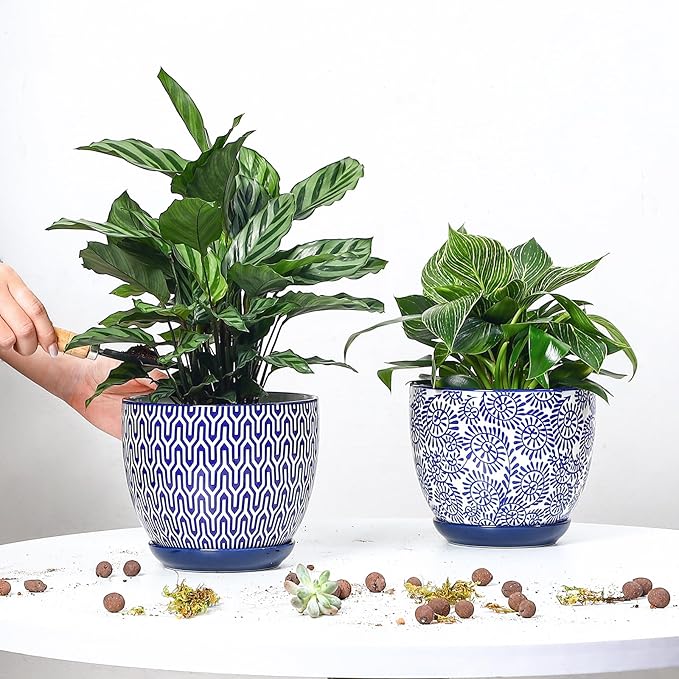 Selamica Ceramica Plant Pots, 6.5 Inch Flower Pots Set of 2 - Image 2