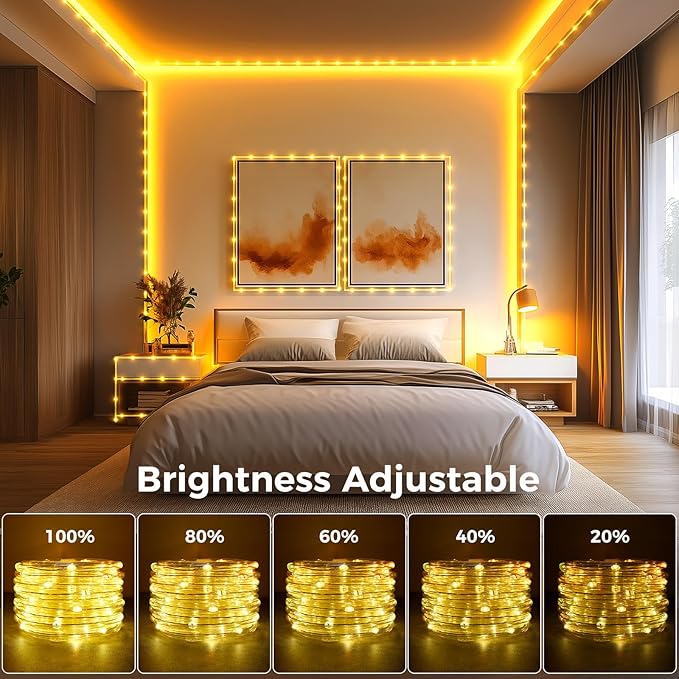 Minetom Color Changing Rope Lights Outdoor, 33FT 100 LED String Lights - Image 5