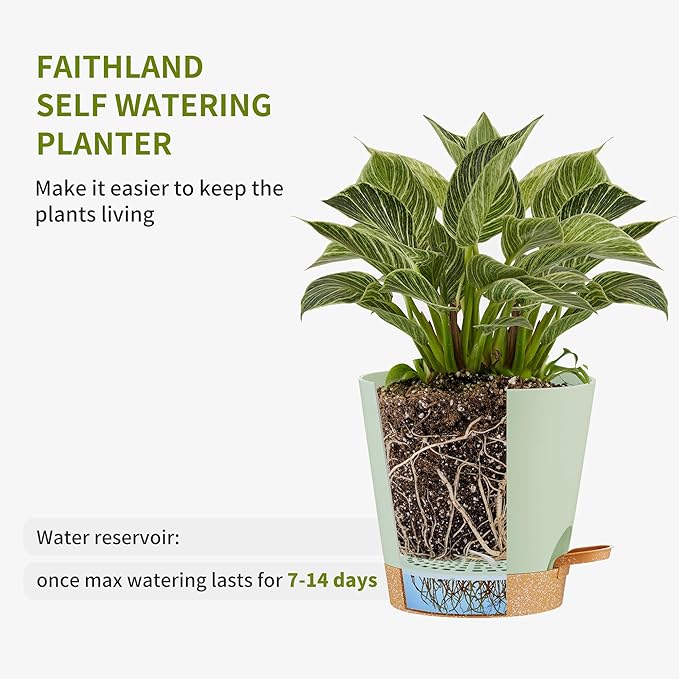 FaithLand 2-Pack 8 Inch Planter Pots - Image 3