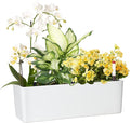 GardenBasix Elongated Self Watering Planter Pots Window Box 5.5 x 16 inch by GardenBasix
