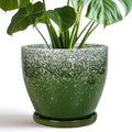 Ceramic Pots for Plants by EPFamily